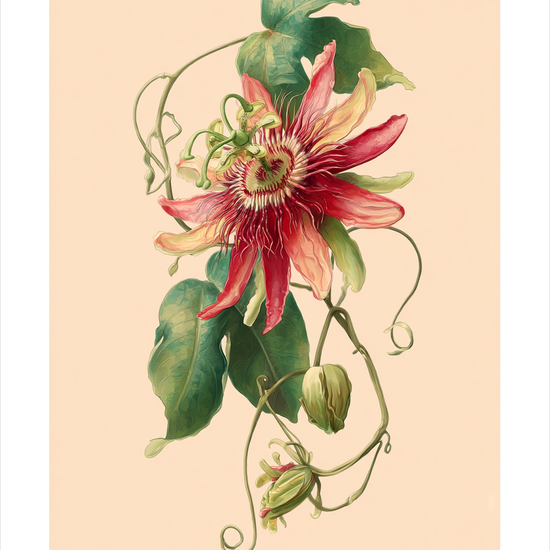 Smygende summen af sommer - No Frame, With White Border