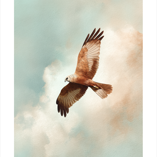 Vindens stille hvisken - No Frame, With White Border