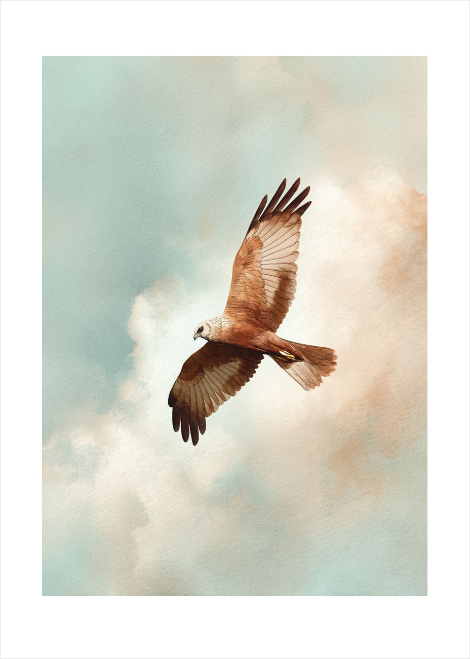 Vindens stille hvisken - No Frame, With White Border