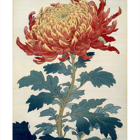 Duften af varm honning - No Frame, With White Border