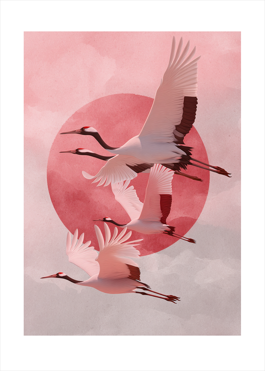 Solens sagte kald - No Frame, With White Border