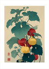 Bladenes sagte klang - No Frame, With White Border
