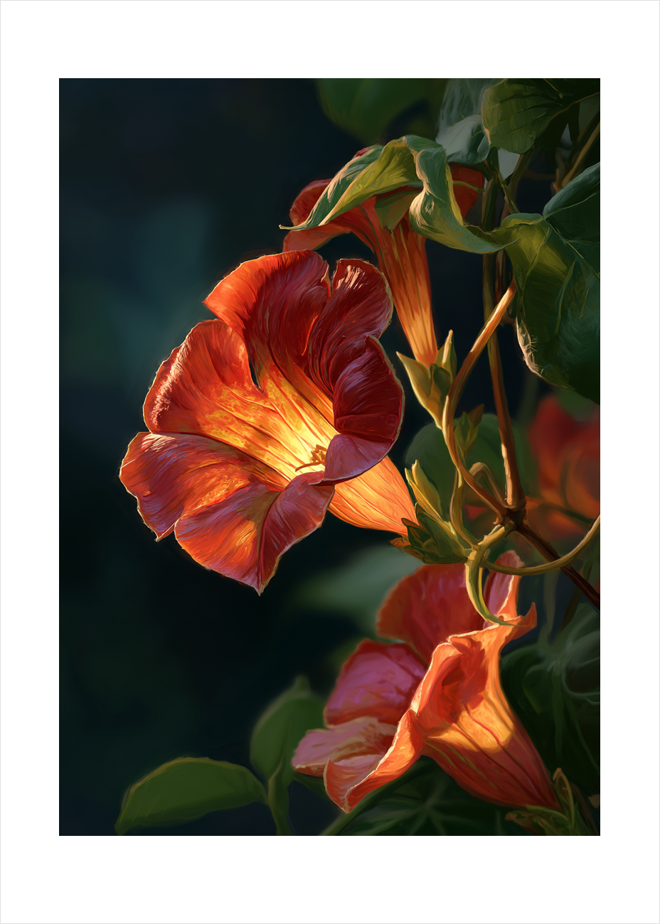 Indre glødens sang - No Frame, With White Border