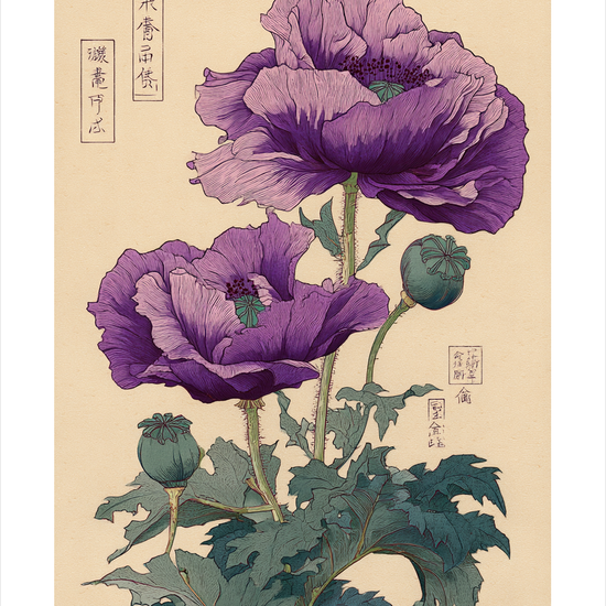 Hvisken fra lilla kronblade - No Frame, With White Border