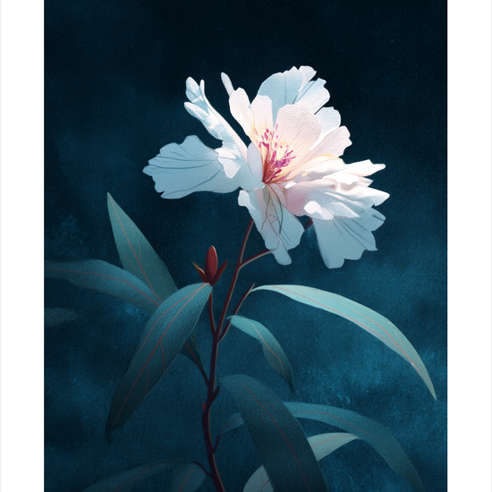 Silkesus i måneskin - No Frame, With White Border