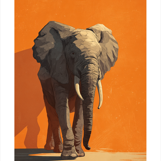 Tunge trin som trommer - No Frame, With White Border