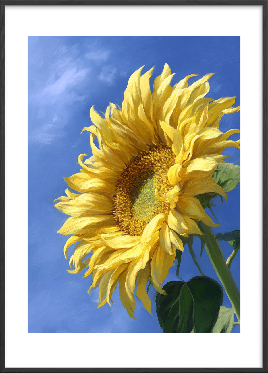 Sommerens gule sus - Black Frame, With White Border