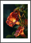 Indre glødens sang - Black Frame, With White Border