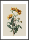 Duften af solskinsvarme - Black Frame, With White Border