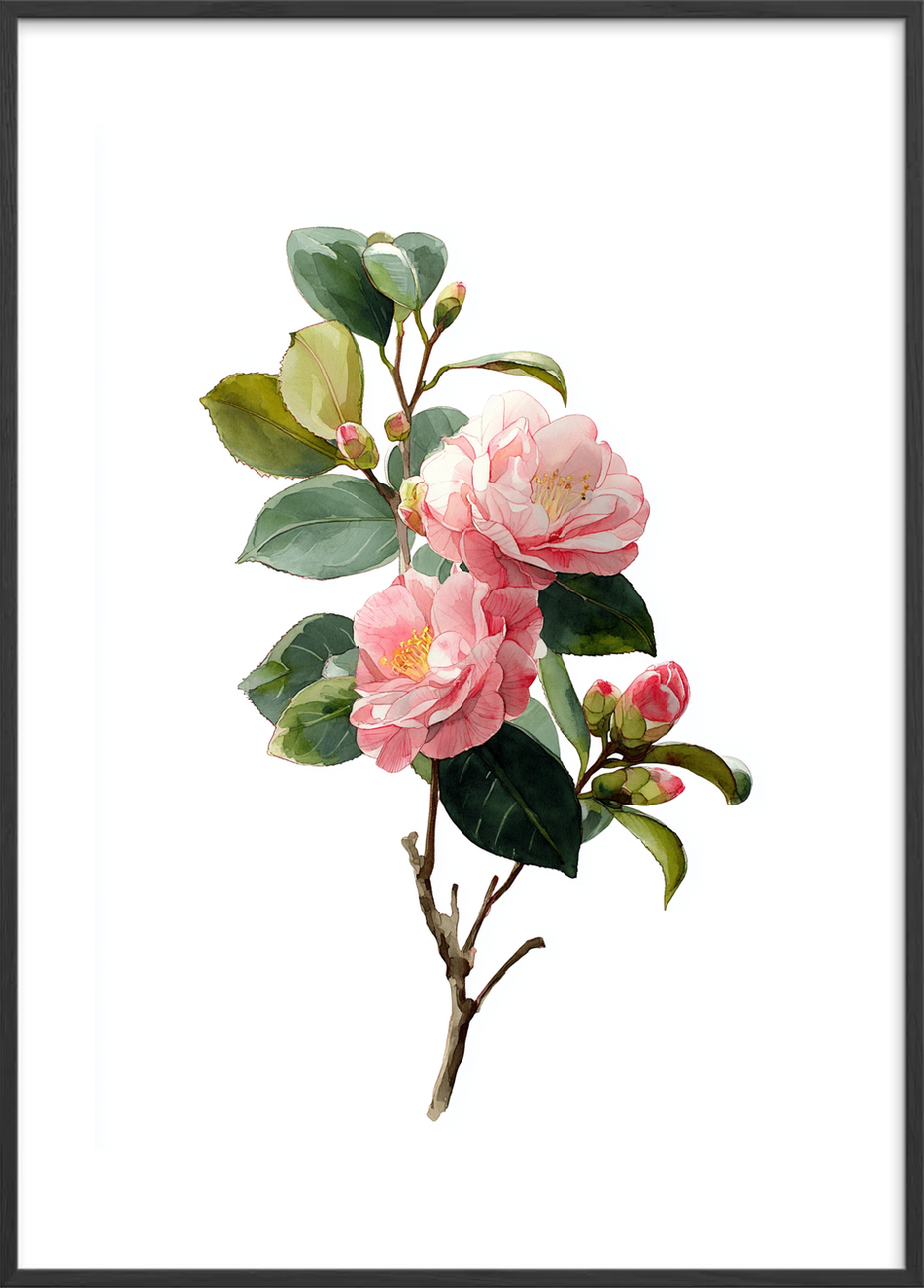 Silkesus i morgenlys - Black Frame, With White Border