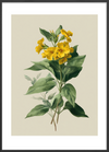 Honningduft af sommer - Black Frame, With White Border