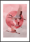 Solens sagte kald - Black Frame, With White Border