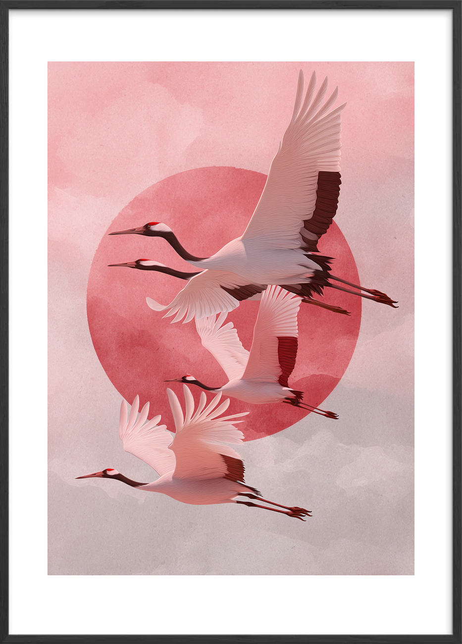 Solens sagte kald - Black Frame, With White Border