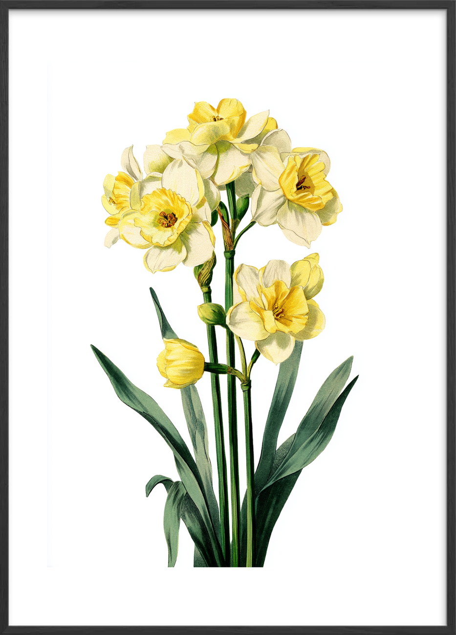 Solens blide hvisken - Black Frame, With White Border