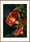 Indre glødens sang - Oak Frame, With White Border