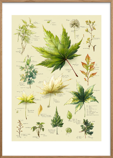 Grøn hvisken på papir - Oak Frame, With White Border