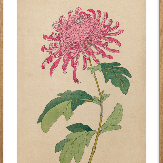 Silkesus fra krøllede bånd - Oak Frame, With White Border