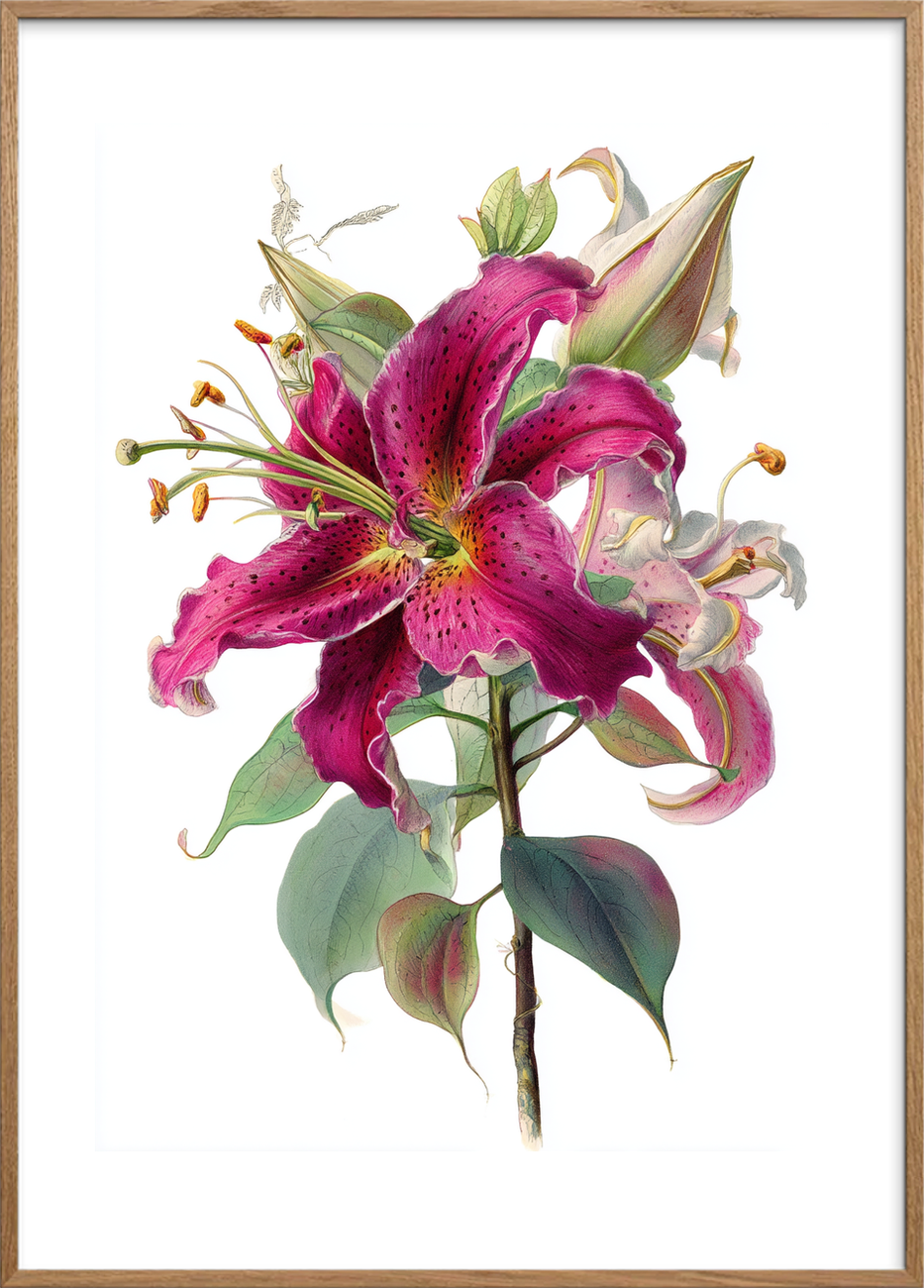 Hviskende sødme i blomst - Oak Frame, With White Border