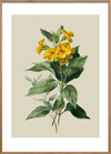 Honningduft af sommer - Oak Frame, With White Border
