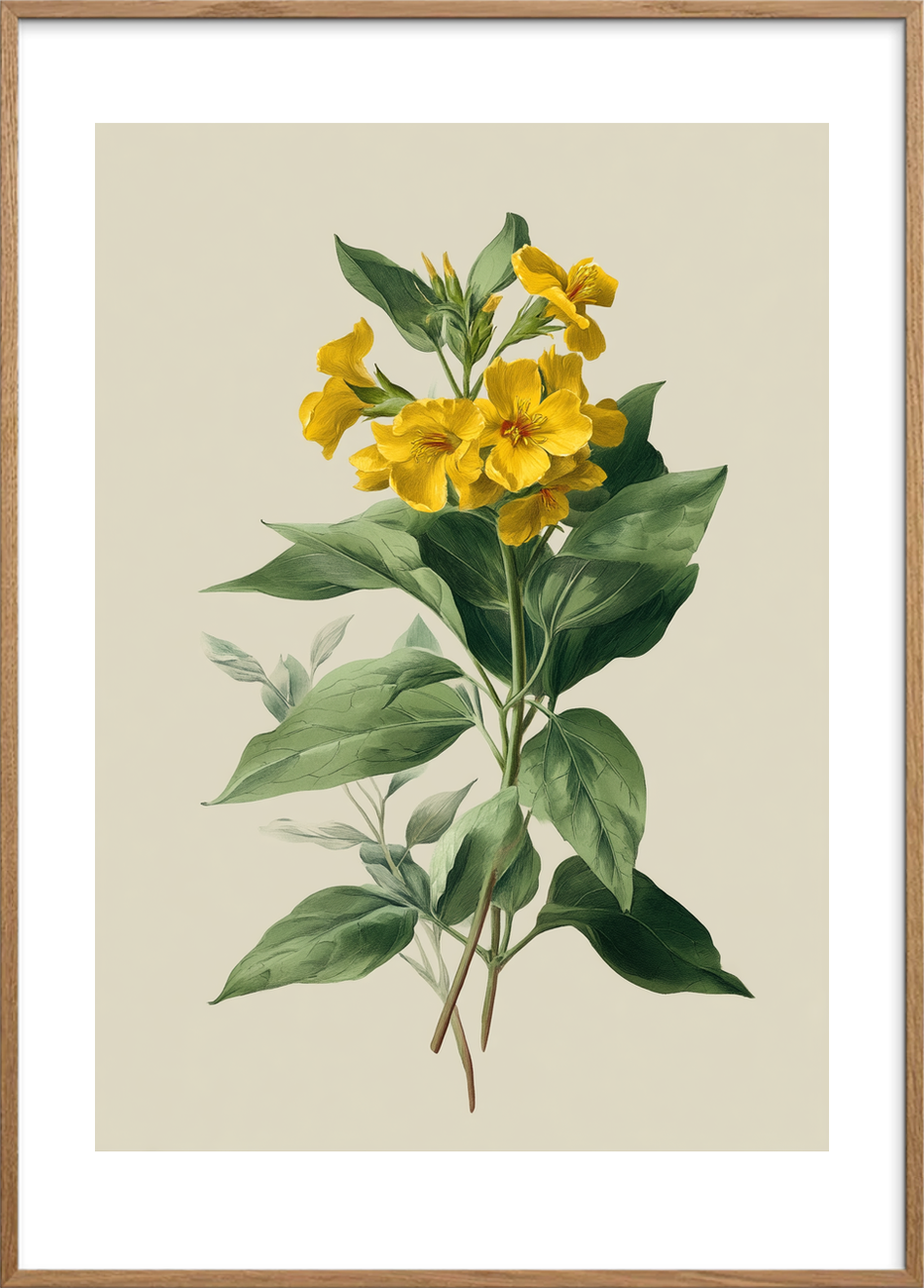 Honningduft af sommer - Oak Frame, With White Border