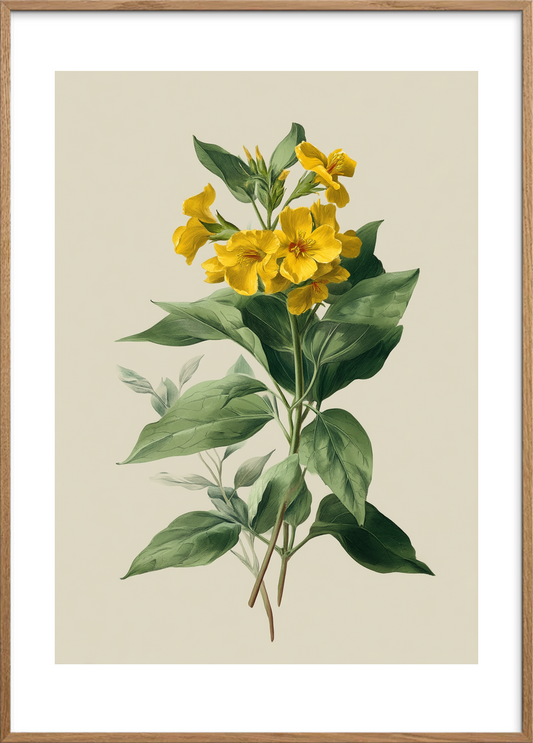 Honningduft af sommer - Oak Frame, With White Border