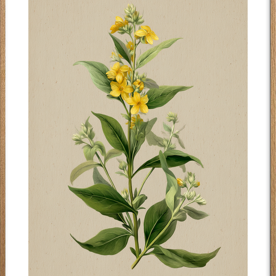 Viskende gul symfoni - Oak Frame, With White Border