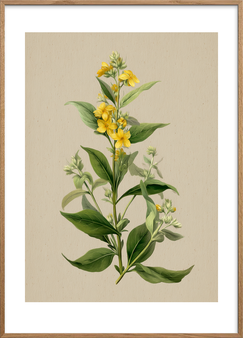 Viskende gul symfoni - Oak Frame, With White Border