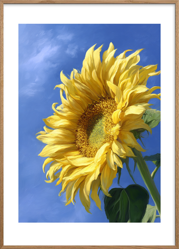 Sommerens gule sus - Oak Frame, With White Border