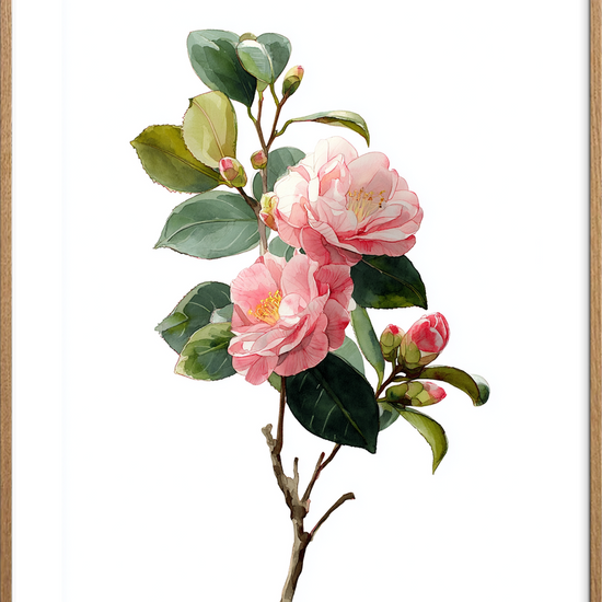 Silkesus i morgenlys - Oak Frame, With White Border