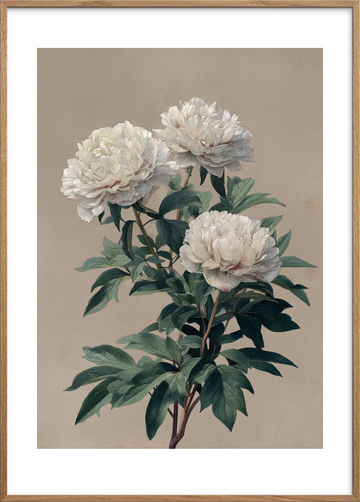 Duft af tavs sommer - Oak Frame, With White Border