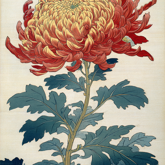 Duften af varm honning - No Frame, No Border