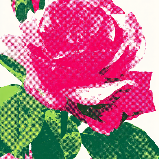 Blød neon, stille sus - No Frame, No Border