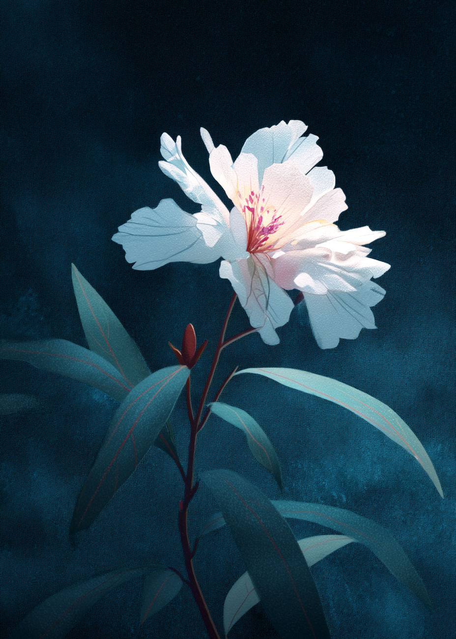 Silkesus i måneskin - No Frame, No Border