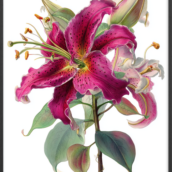 Hviskende sødme i blomst - Black Frame, No Border