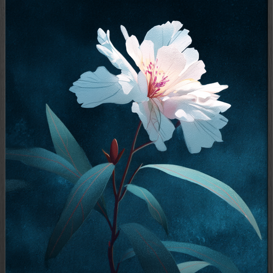 Silkesus i måneskin - Black Frame, No Border