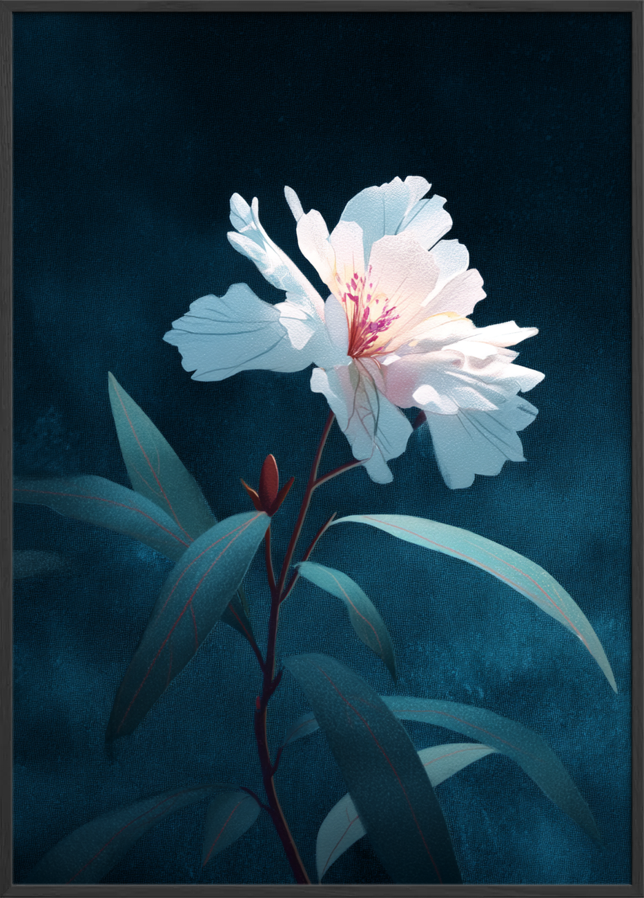 Silkesus i måneskin - Black Frame, No Border