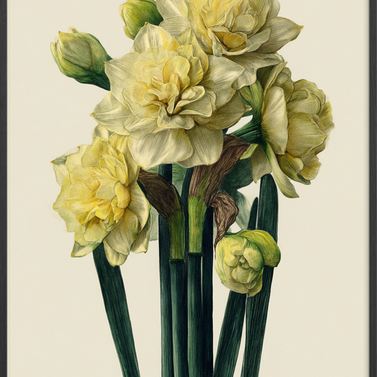 Morgenens blide hvisken - Black Frame, No Border