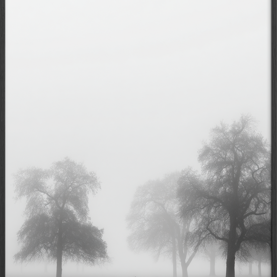 Stumhedens bløde fodtrin - Black Frame, No Border
