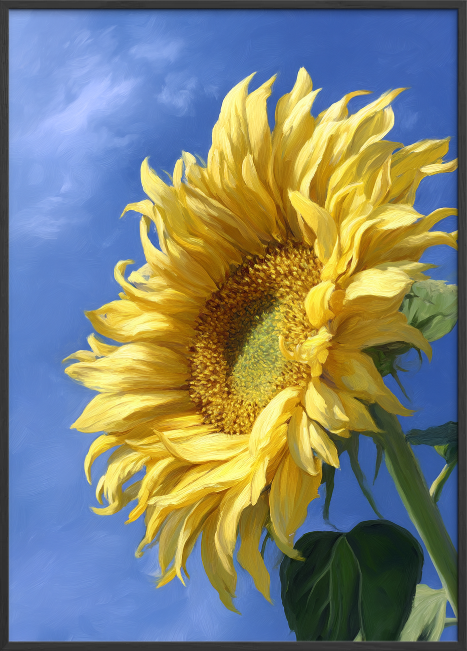 Sommerens gule sus - Black Frame, No Border