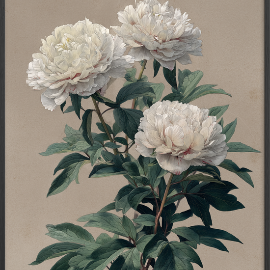 Duft af tavs sommer - Black Frame, No Border