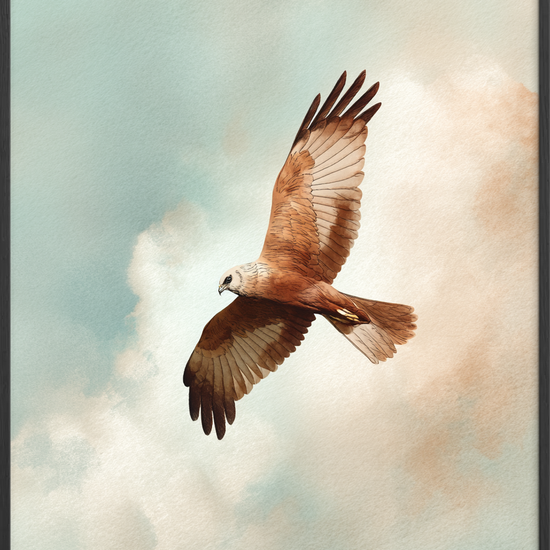 Vindens stille hvisken - Black Frame, No Border