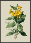 Honningduft af sommer - Black Frame, No Border