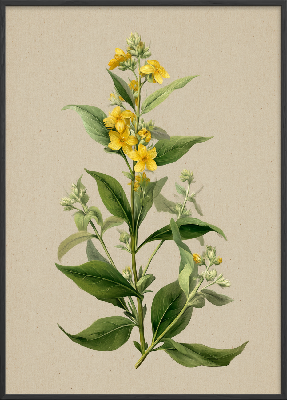 Viskende gul symfoni - Black Frame, No Border