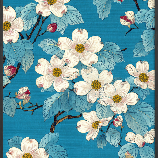 Honningens stille klang - Black Frame, No Border