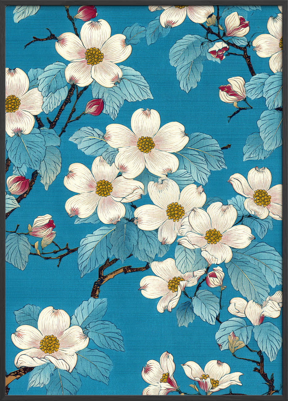 Honningens stille klang - Black Frame, No Border