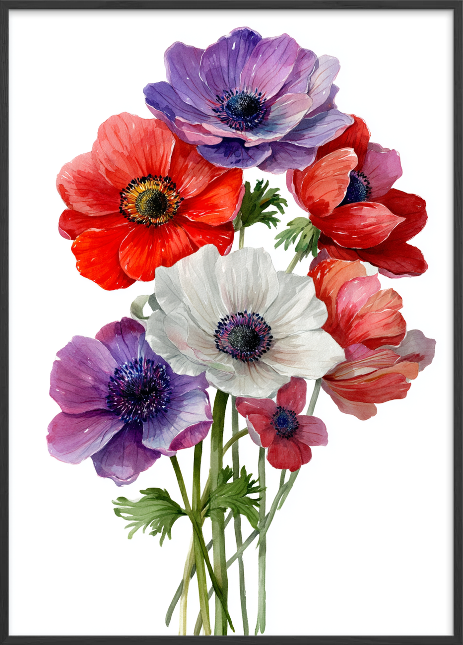 Hviskende farveklang - Black Frame, No Border