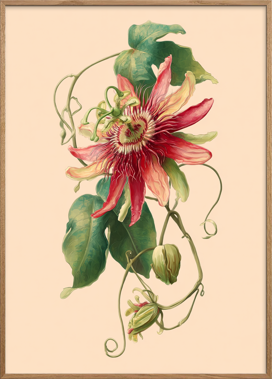 Smygende summen af sommer - Oak Frame, No Border