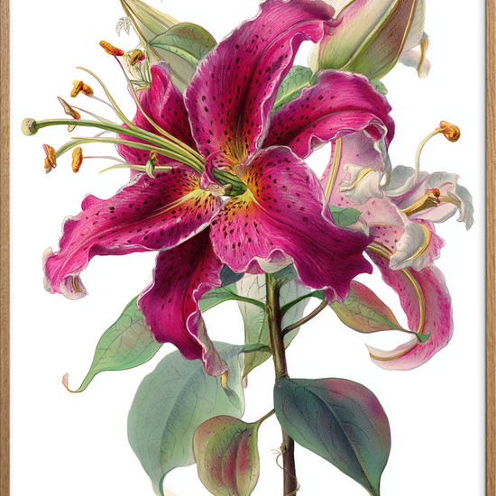 Hviskende sødme i blomst - Oak Frame, No Border