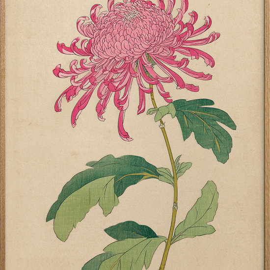 Silkesus fra krøllede bånd - Oak Frame, No Border