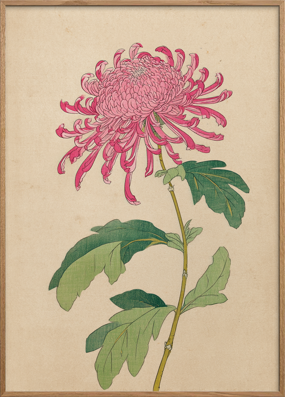 Silkesus fra krøllede bånd - Oak Frame, No Border